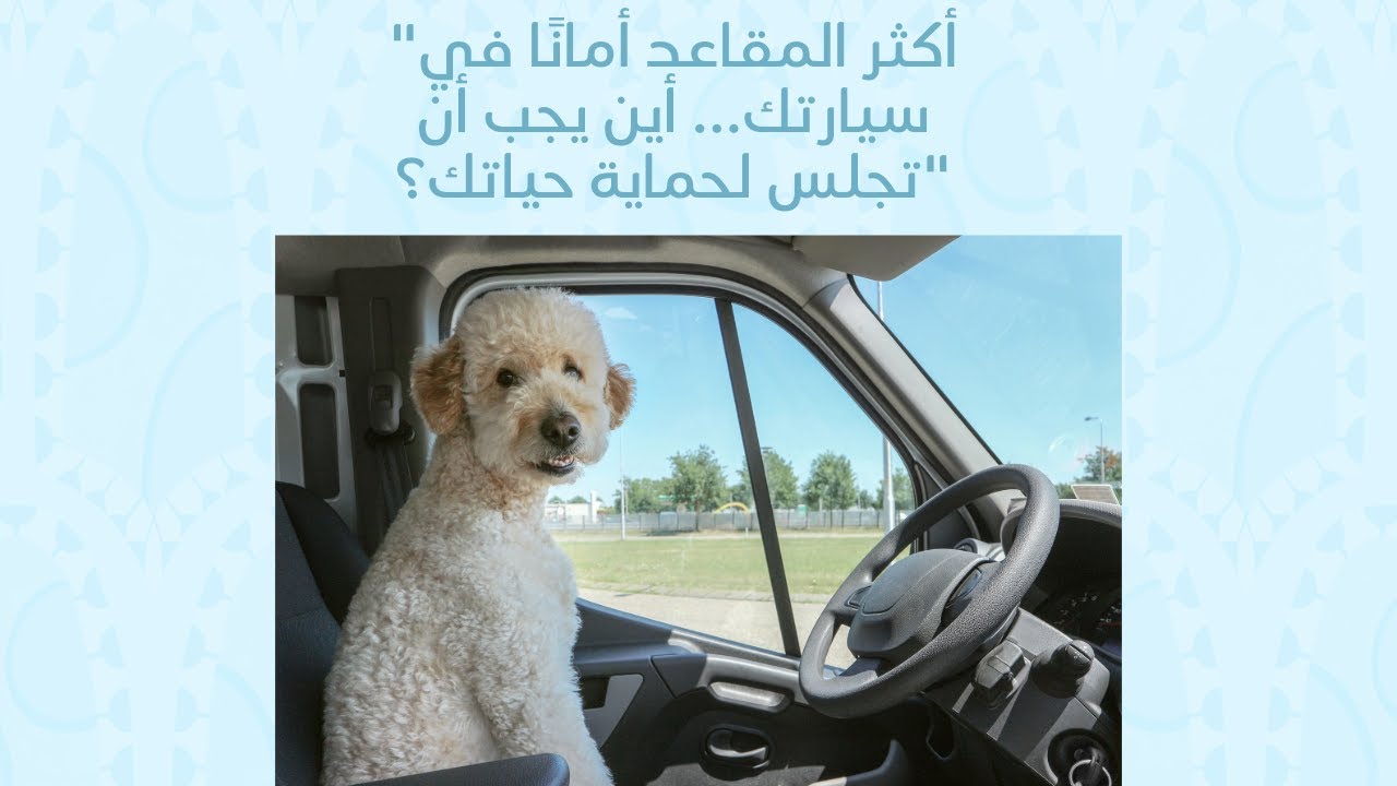 برنامج Your Rights مع المحامية جومانا كيروز -  ماهو اكثر المقاعد امنا في السيارة؟