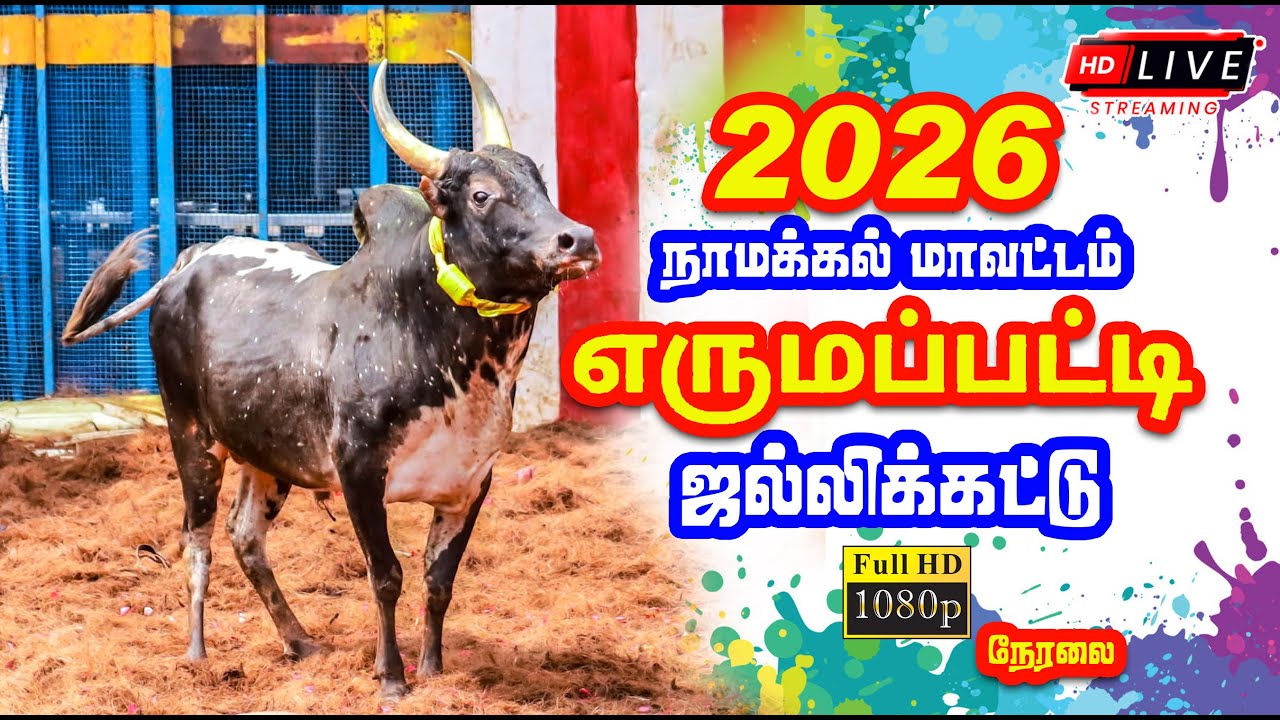 🔴 Live | எருமப்பட்டி ஜல்லிக்கட்டு நேரலை | நாமக்கல் மாவட்டம் எருமப்பட்டி - Erumapatti Jallikattu Live