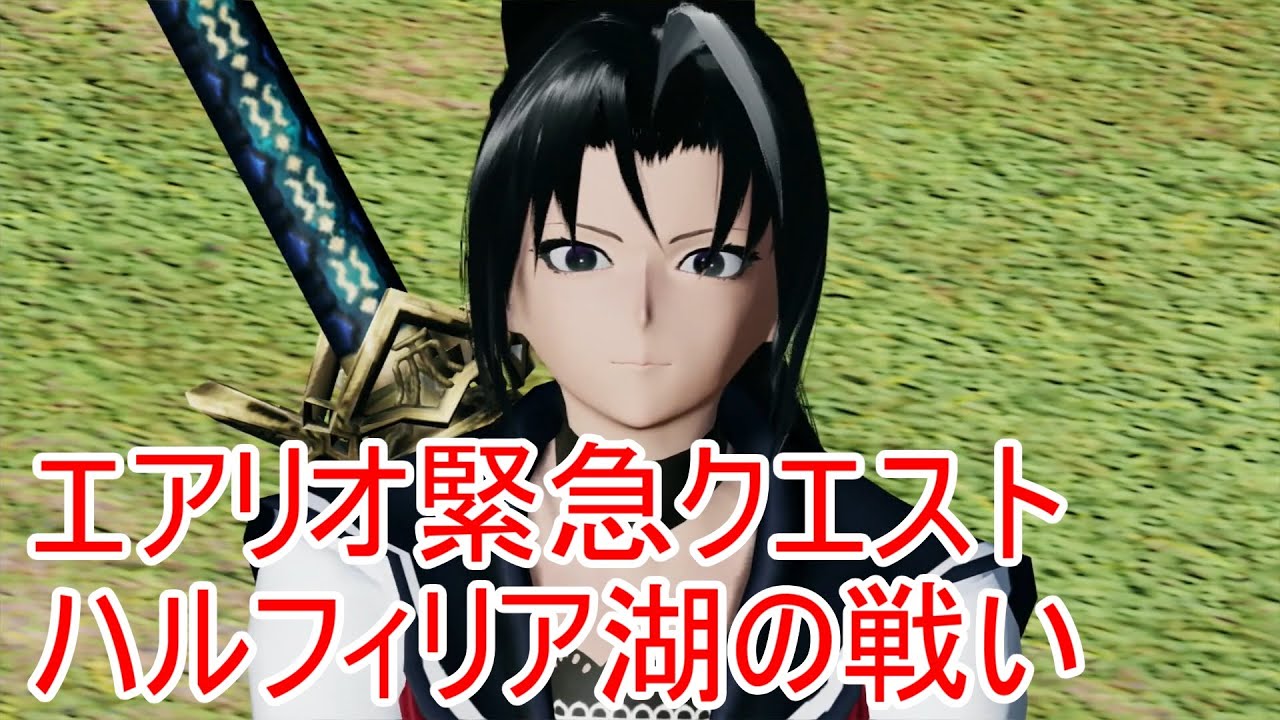 エアリオ緊急クエスト［ハルフィリア湖の戦い］プレイ動画