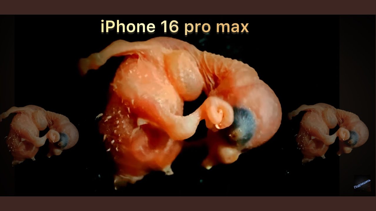 МОЙ iPHONE 16 PRO MAX 25 января 2026 г..