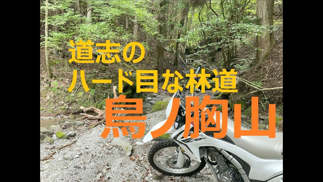 【恐怖の林道】50代から始めるオフロード　道志の林道 鳥ノ胸山【サイレントヒル】