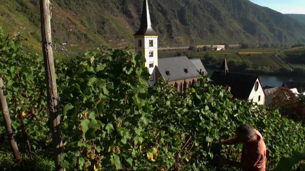 Tyskland Moseldalen: Cochem Ferielandet Mosel - vinferie i Moseldalen
