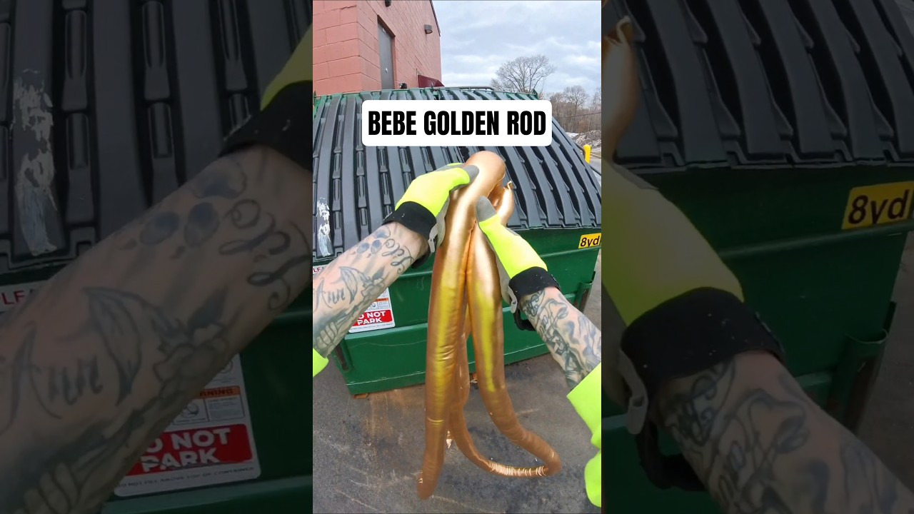 Я нашла в мусорном контейнере лапшу BeBe Golden Noodle и Денниса Родмана!! #поисквомвмусорныхконт...