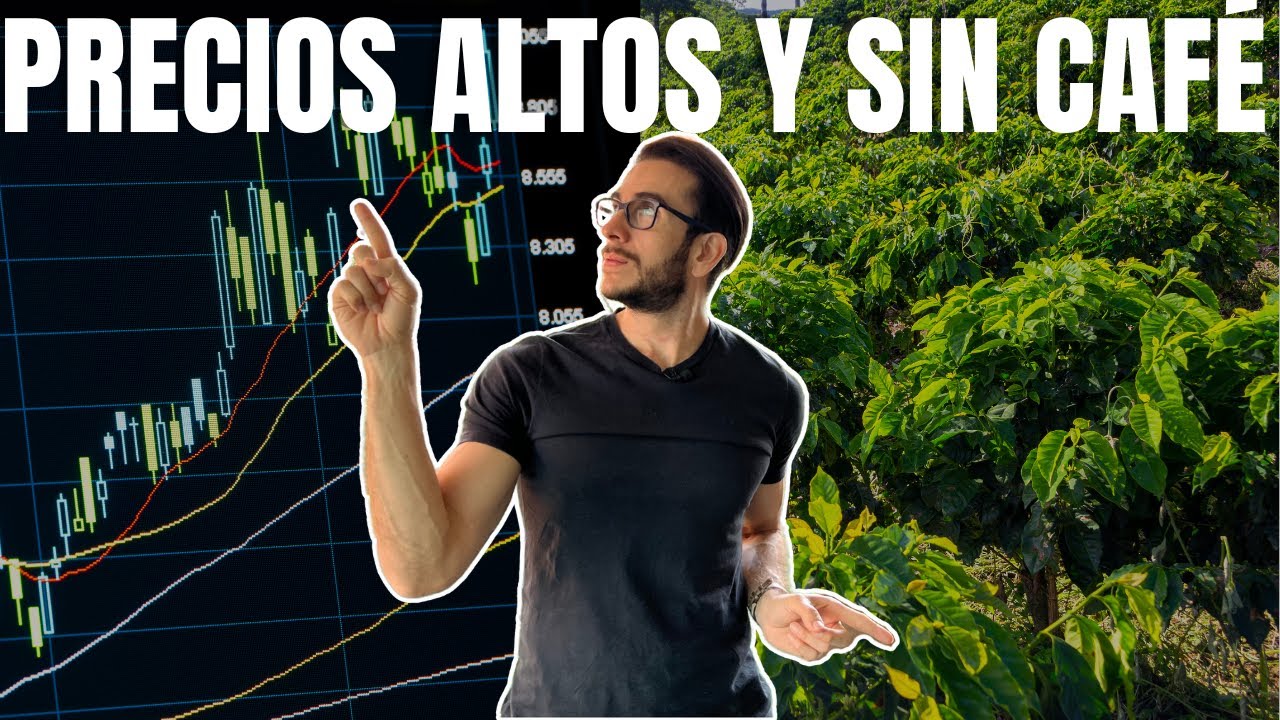 Precios altos, cosechas bajas: C&oacute;mo asegurar ganancia antes de tener el caf&eacute; | Ep. 451