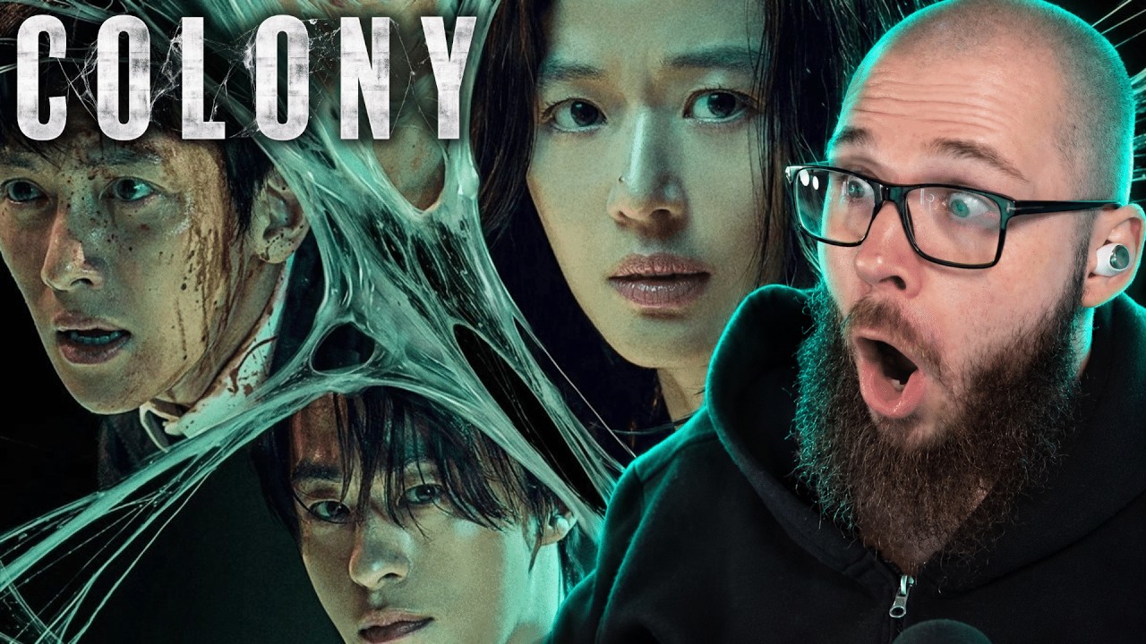 COLONY Reaction | 군체