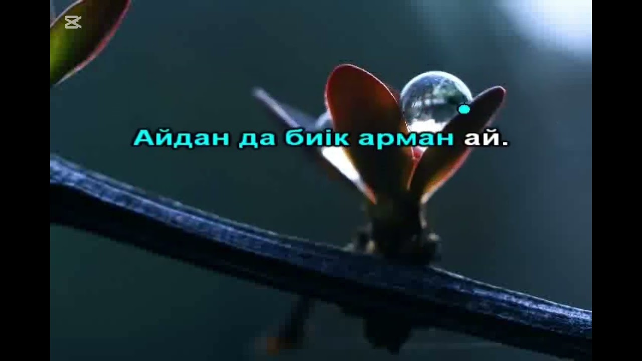 Тоқтар Серіков - Мойыл Көз караоке минус