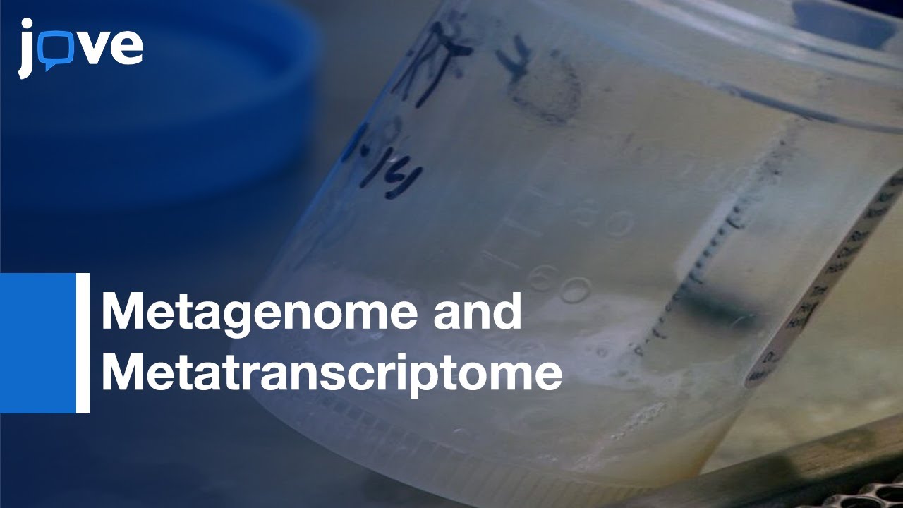 Metagenome and Metatranscriptome Sequencing