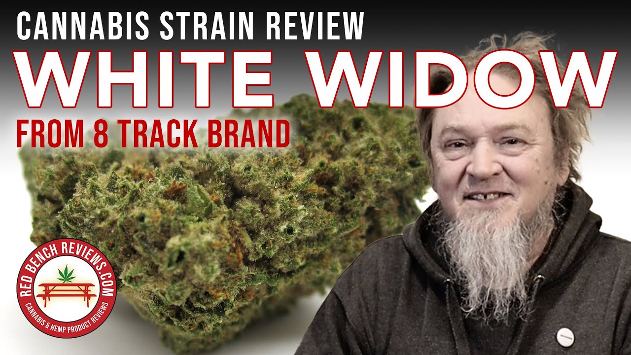White Widow Strain Review &ndash; 8 Track Brand