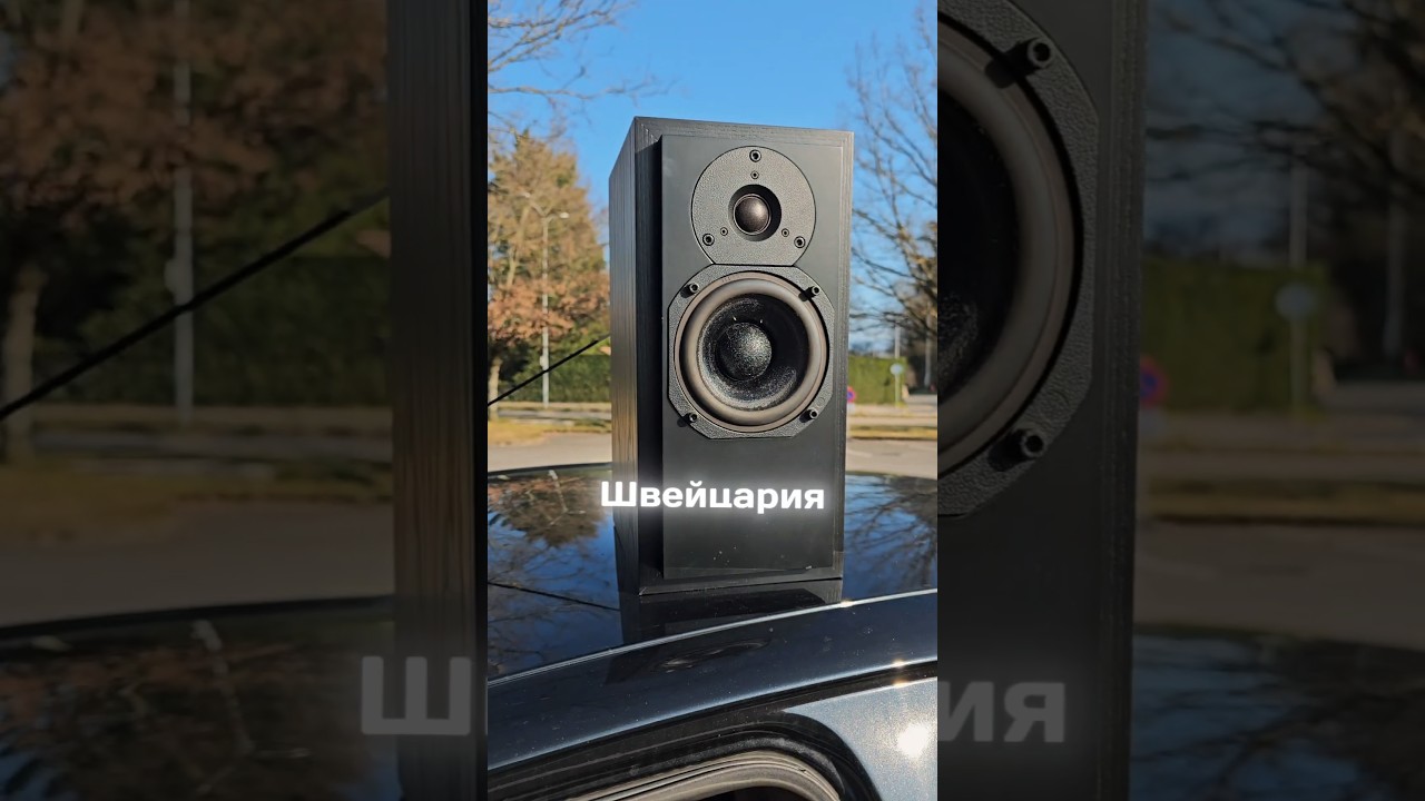 Швейцария &ndash; это деревня: доказательство. ATC SCM10 #atc #krell #marklevinson #hiend #audiophile