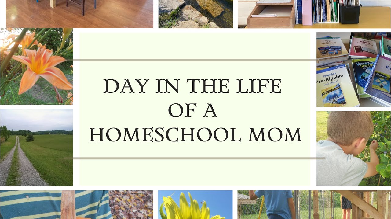 DAY IN THE LIFE OF A HOMESCHOOL MOM 