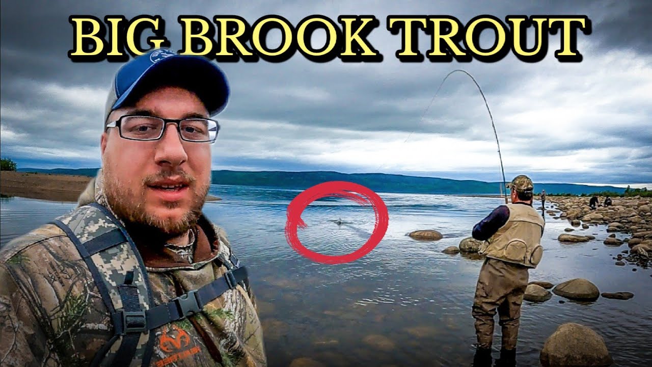 Fly Fishing for BIG BROOK TROUT in Newfoundland! (Mystery Meat Lunch!)