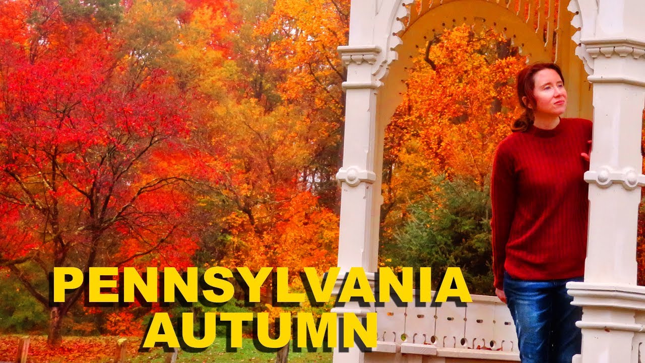 You Won't Believe This COLOR! Pennsylvania Autumn 🎃😍 (Vlog 627)