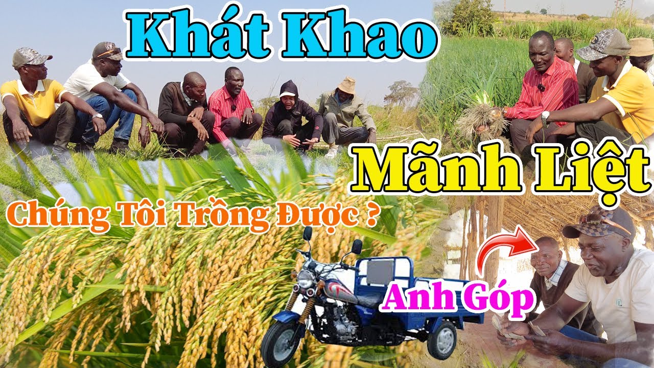Công Giáp || Động Lực Nào ? Mang Tới Niềm Khát Khao Mãnh Liệt Đến Vậy ? Chúng Tôi Sẽ Trồng Được ???