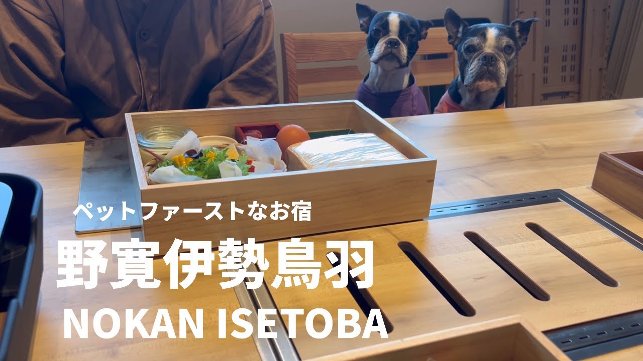 【愛犬と伊勢旅行】野寛伊勢鳥羽さんに宿泊しました。