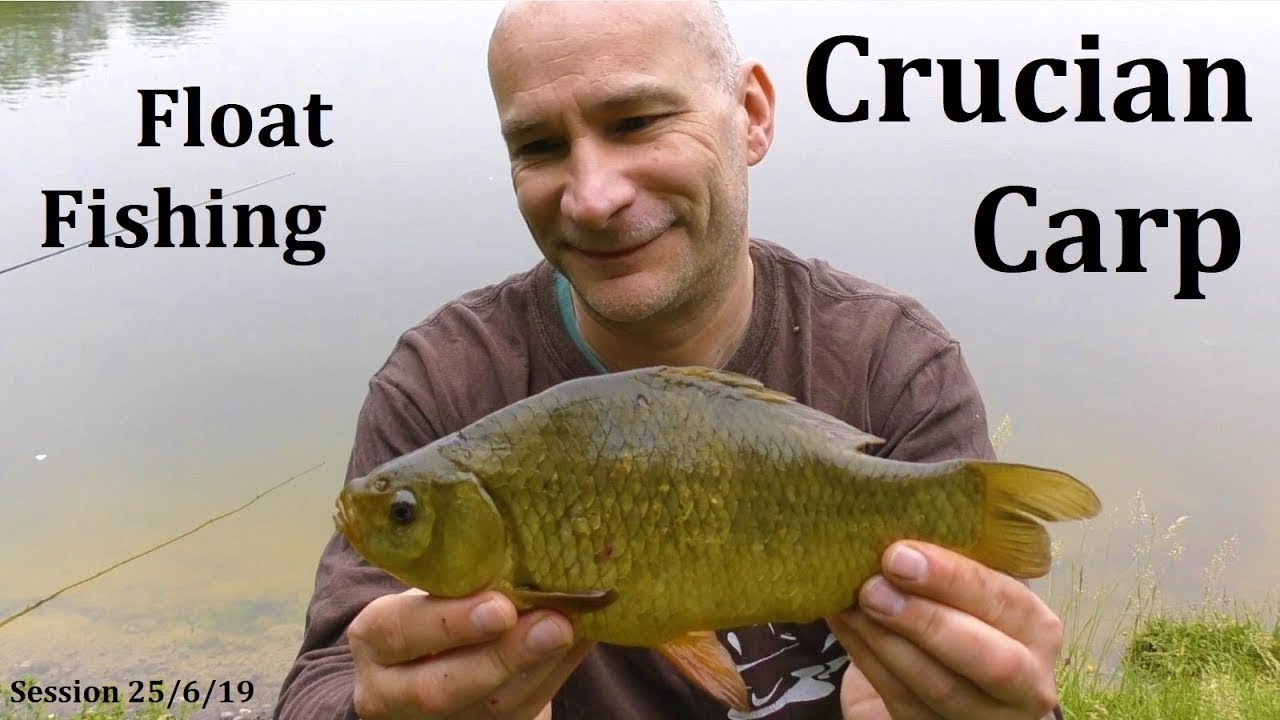 Crucians, Centrepin & Corn - Crucian Carp Fishing - 25/6/19 (Video 117)