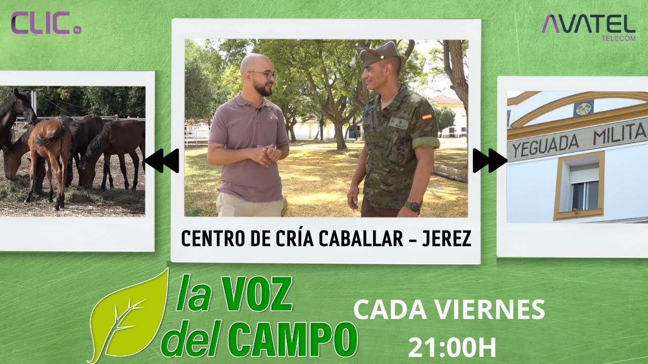 LA HISTORIA DE YEGUADA MILITAR - LA VOZ DEL CAMPO