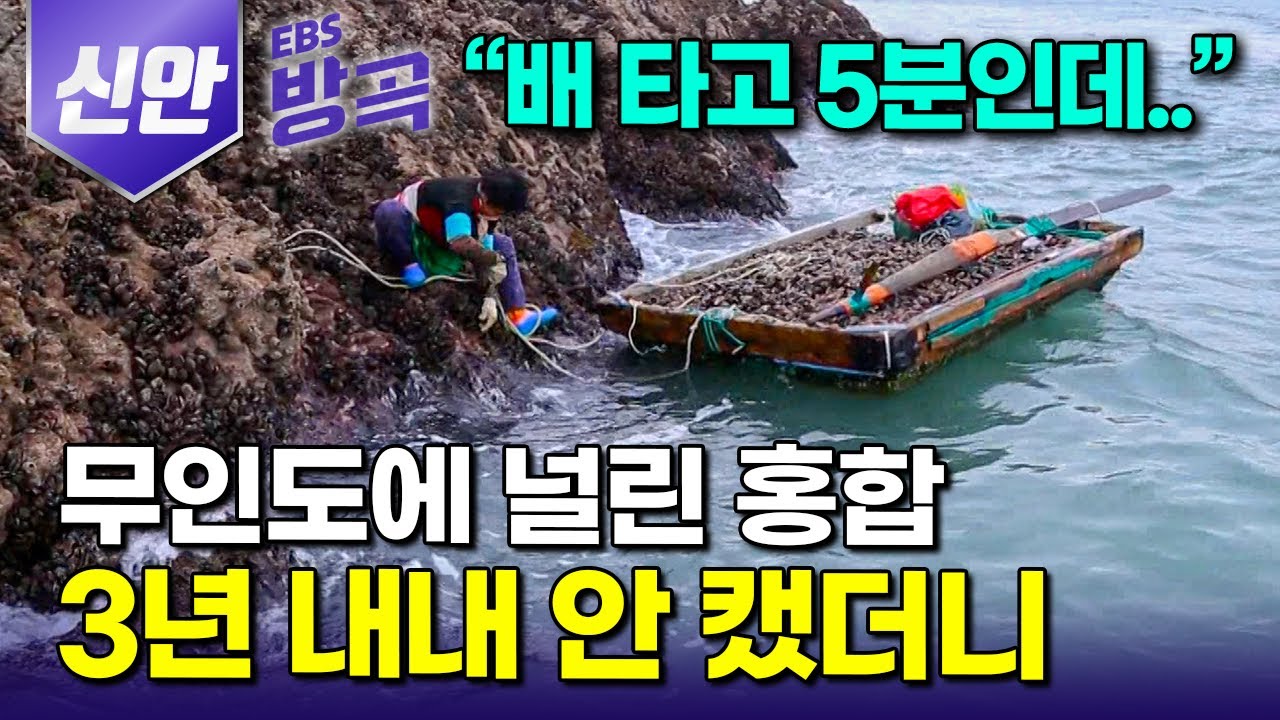 [전남 신안] 