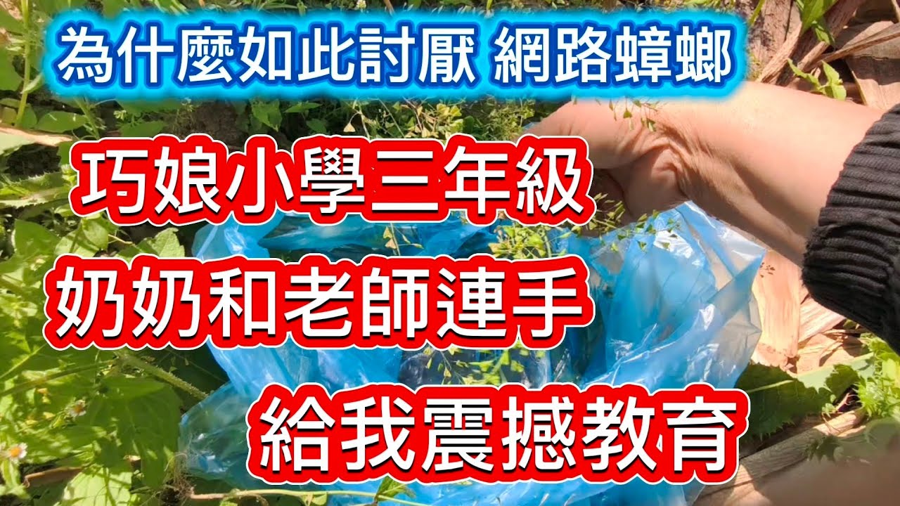 巧娘小學三年級的作文 被偷_奶奶_老師 _姑姑三連手 震撼教育方式  我一生授用