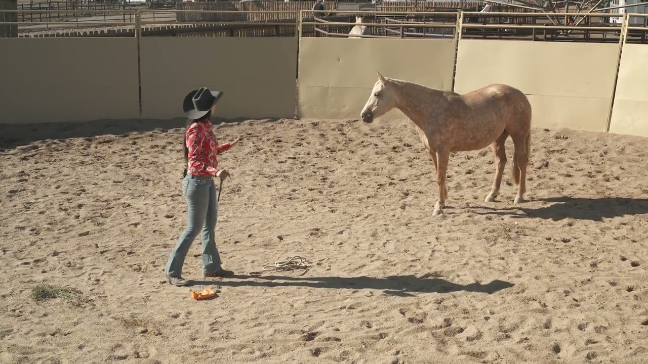 Monique Potts: Reading Your Horse's Body Language