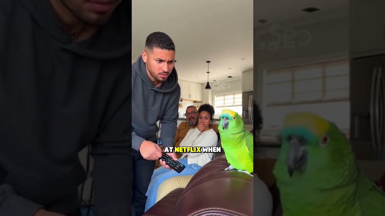 От милого до дерзкого за 10 секунд 🦜⚡️