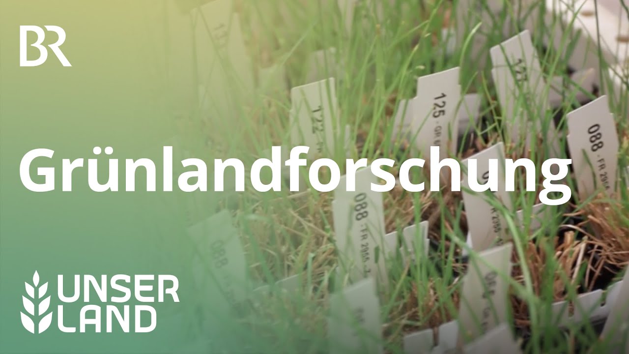 Welches Gras ist das beste? | Unser Land | BR Fernsehen