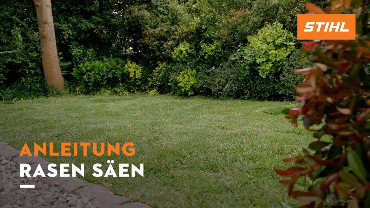 Rasen richtig säen | STIHL Selber machen