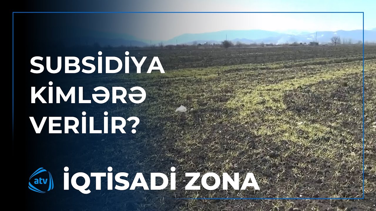 Subsidiya kimlərə verilir?
