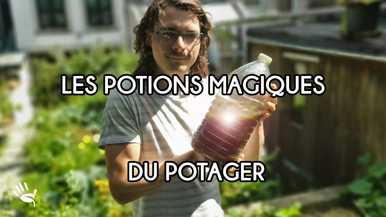 Nos meilleurs engrais naturels et gratuits + astuces