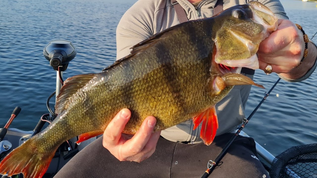 Ce lac n'a pas été pêché depuis plusieurs années