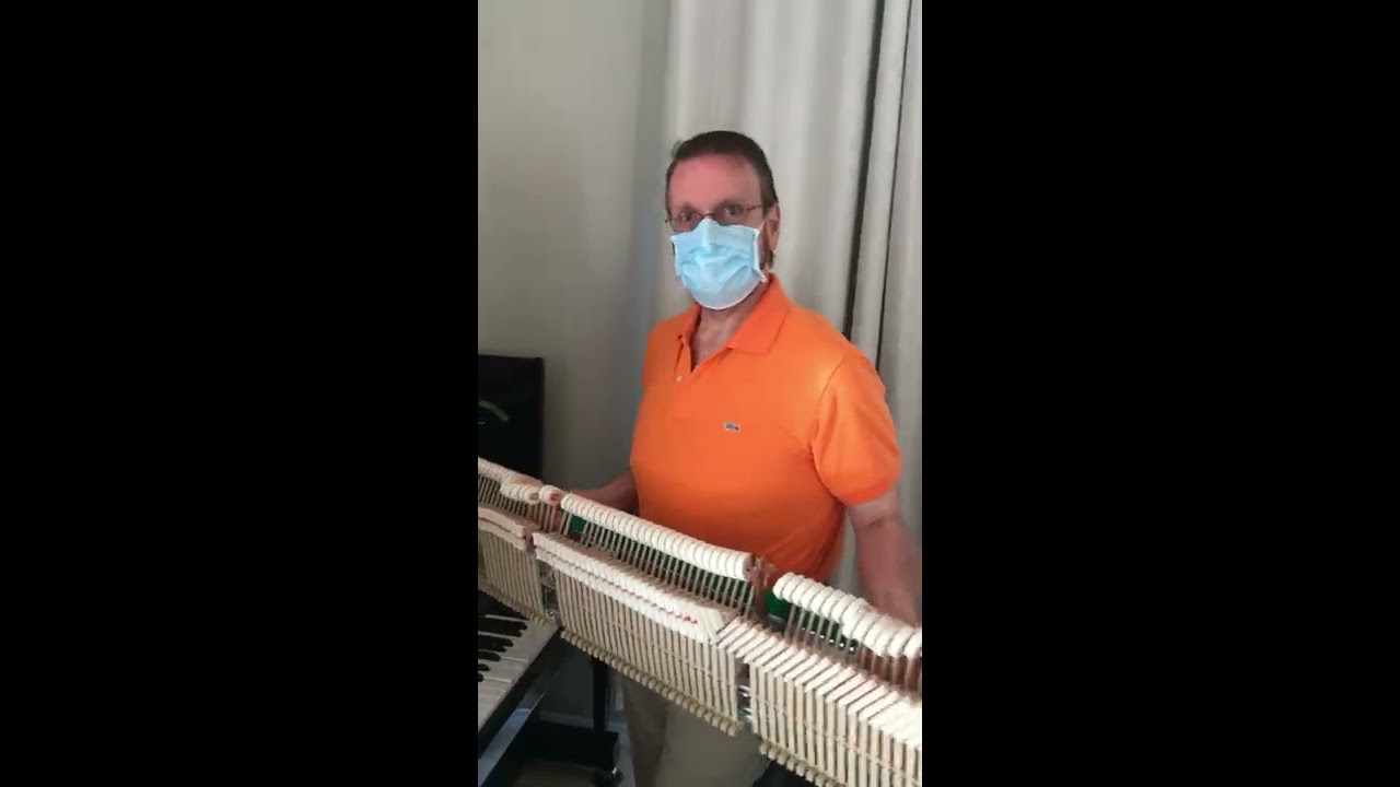 Upright Piano Action Removal