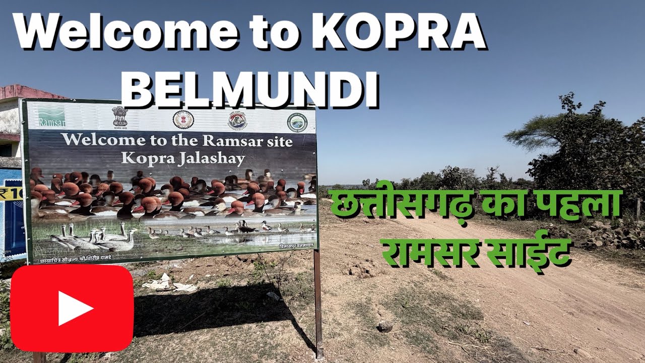 छत्तीसगढ़ का पहला रामसर साईट  BILASPUR #cg #bilaspur #nature 