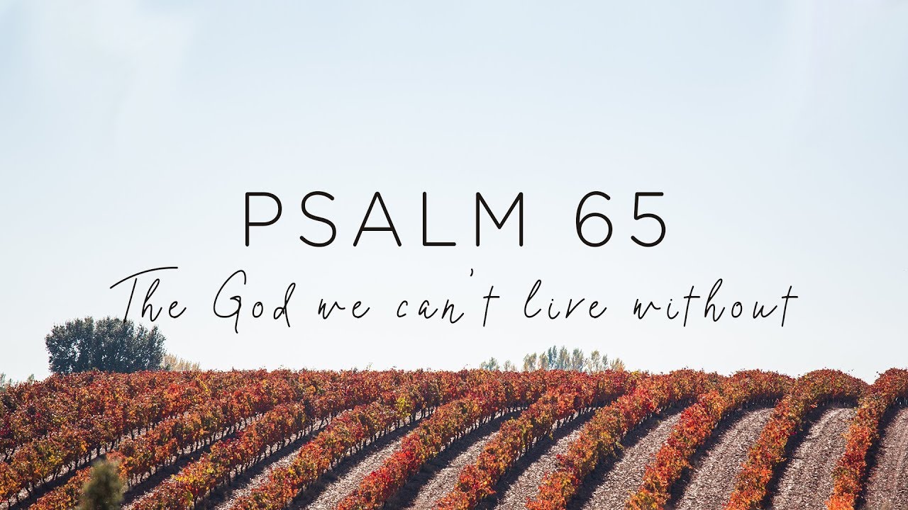 Psalm 65: The God We Can't Live Without
