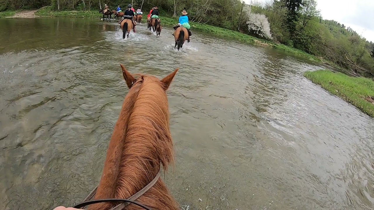 Rajd konny u Prezesa, Bieszczady 2021