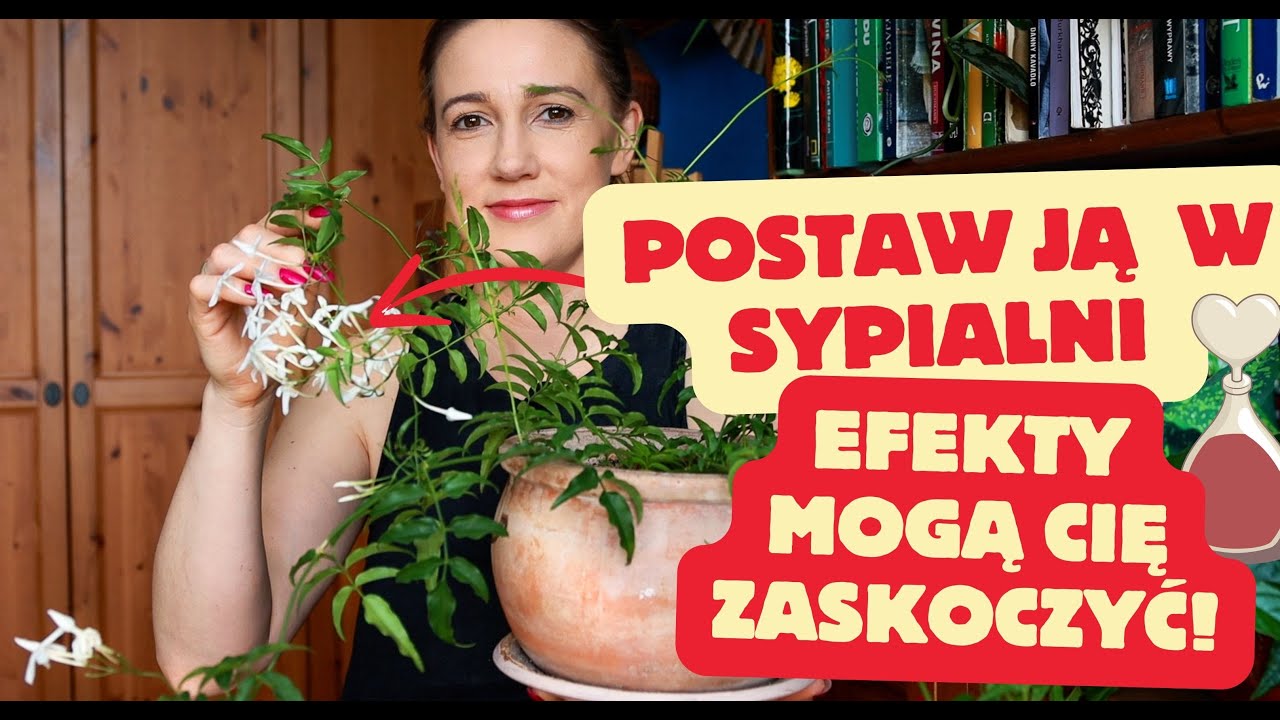 Ta Roślina To Silny Afrodyzjak, więc uważajcie 😇 Nowe pnącza w domu! ❤️