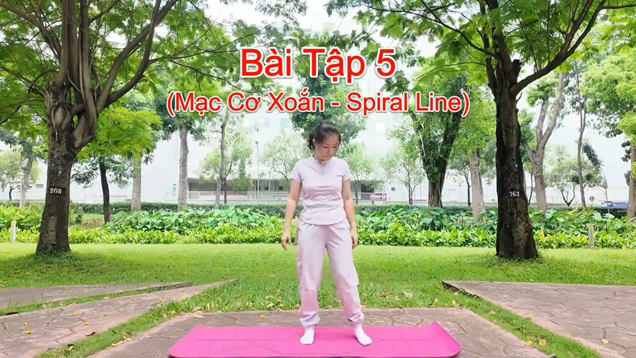10 bài tập thể dục nhẹ nhàng