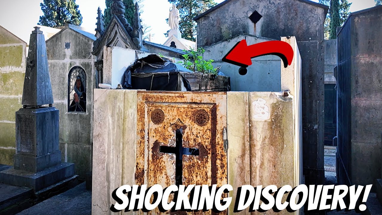 They Just Left This Coffin To Rot - Things Growing Out Of It!