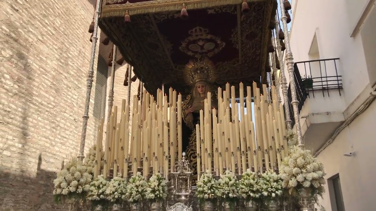 Soleá dame la mano | Hermandad de los Servitas (Sevilla) | Sábado Santo 2023