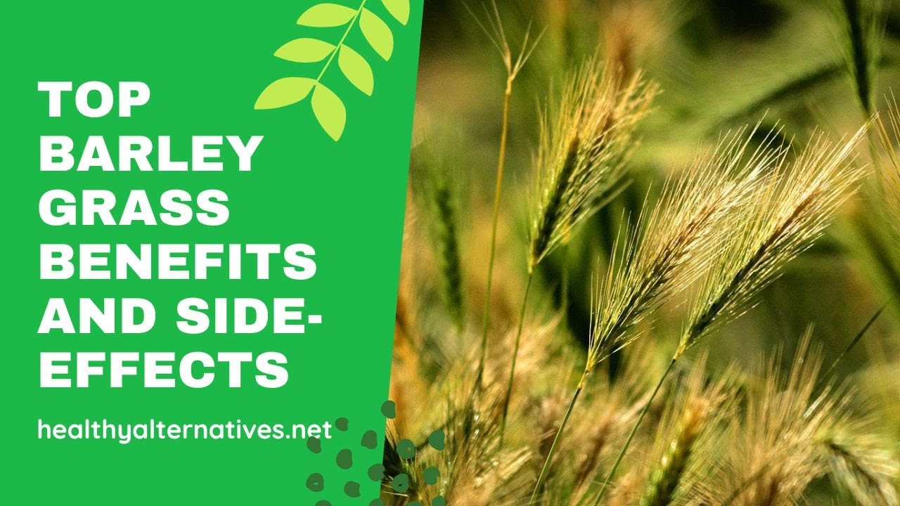 Top Barley Grass Benefits and Side-effects