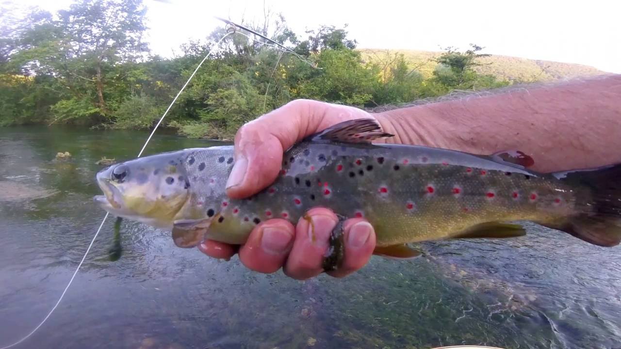 Magico Ribnik 2016 Luglio
