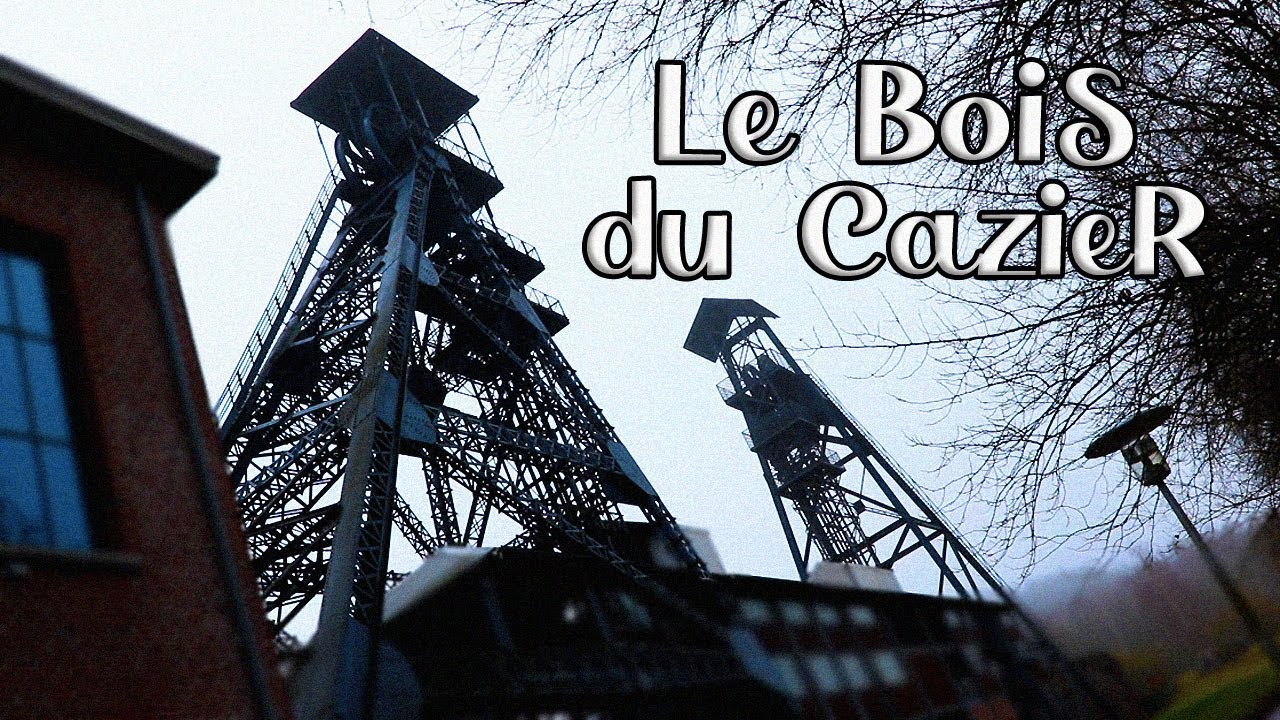 Le Bois du Cazier: Catastrophe Minière  (Belgique)