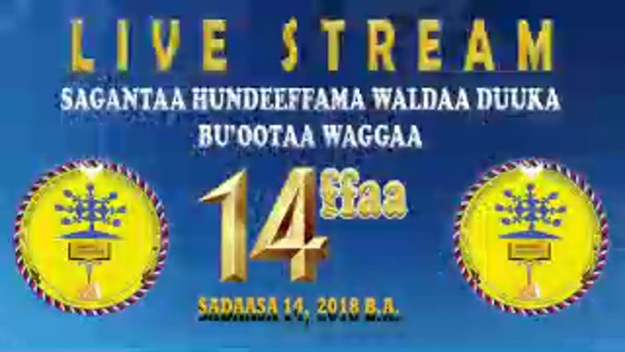 TAMSAASA KALLATTII SAGANTAA KABAJA HUNDEEFFAMA WALDAA DUUKAA BU'OOTAA     WAGGAA 14FFAA