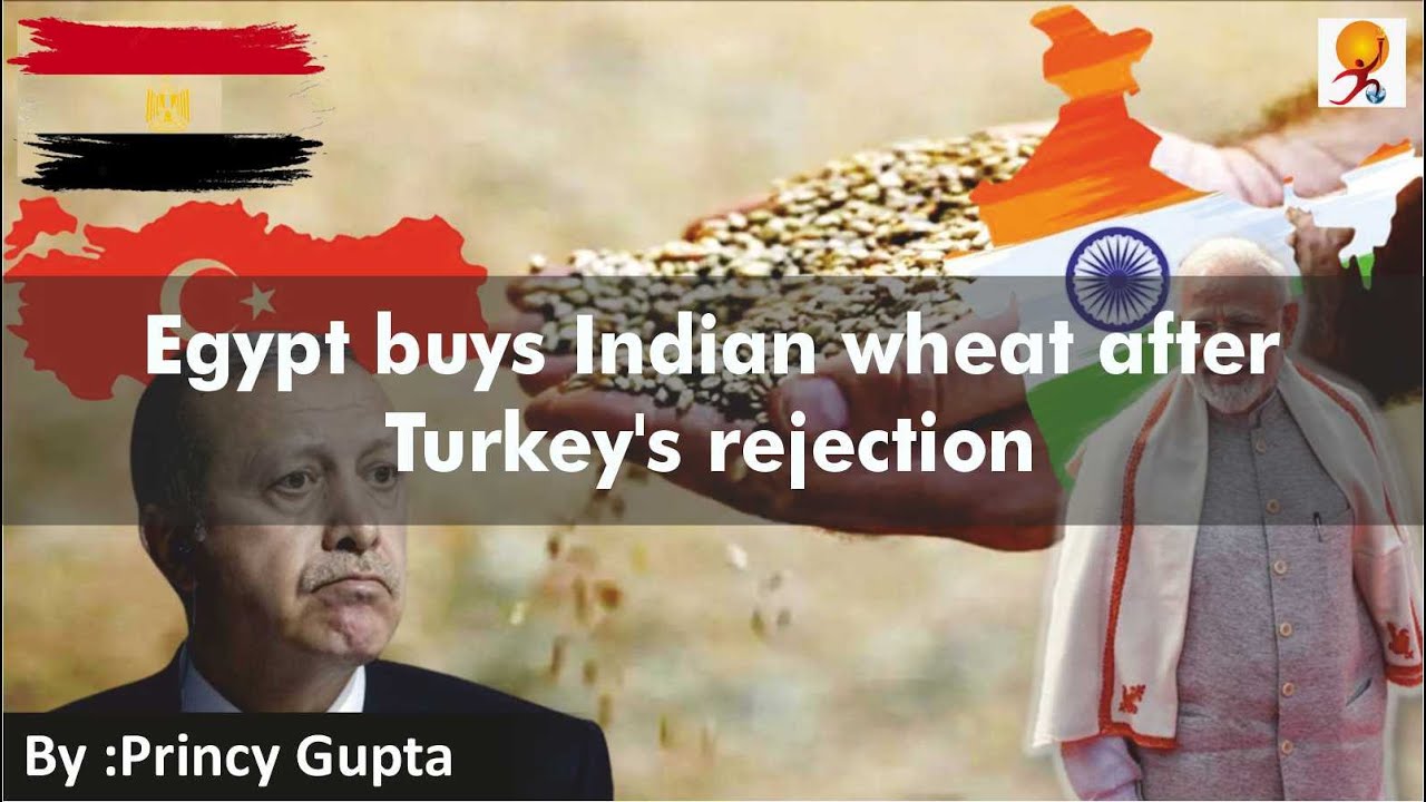 Egypt buys Indian wheat after Turkey's rejection