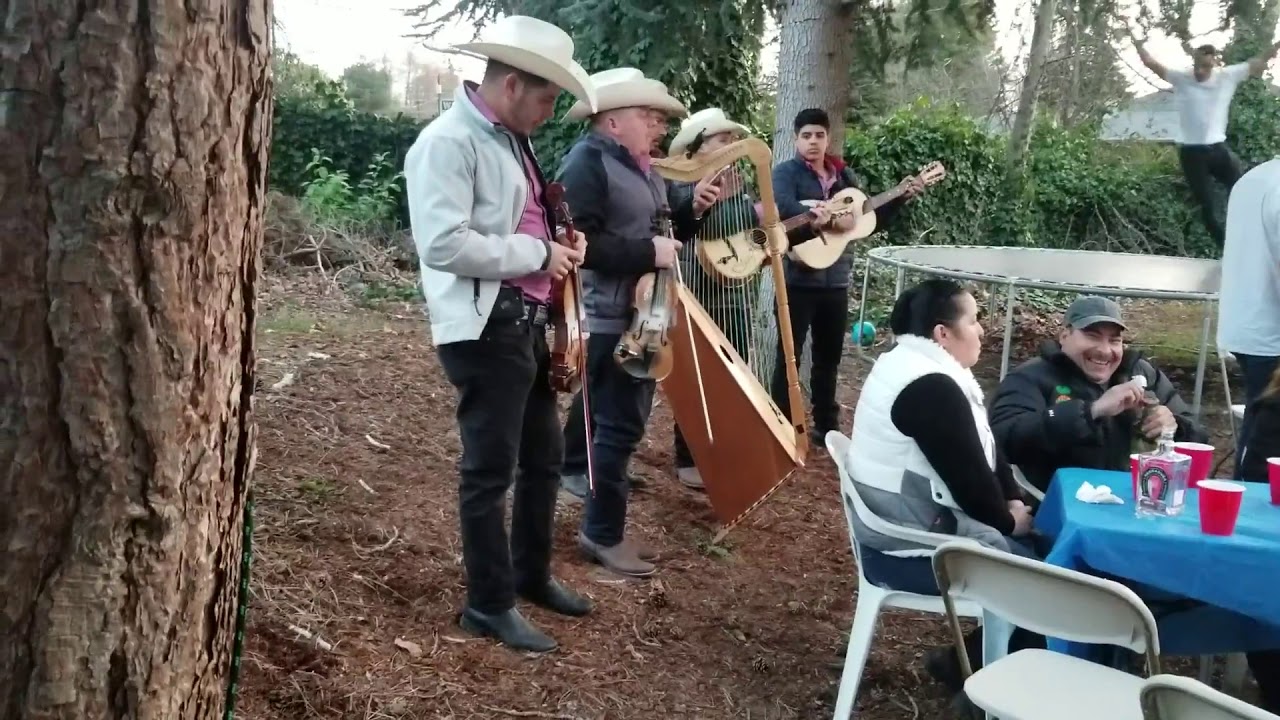 Jojo's birthday con los hermanos Gonzales grupo de arpa