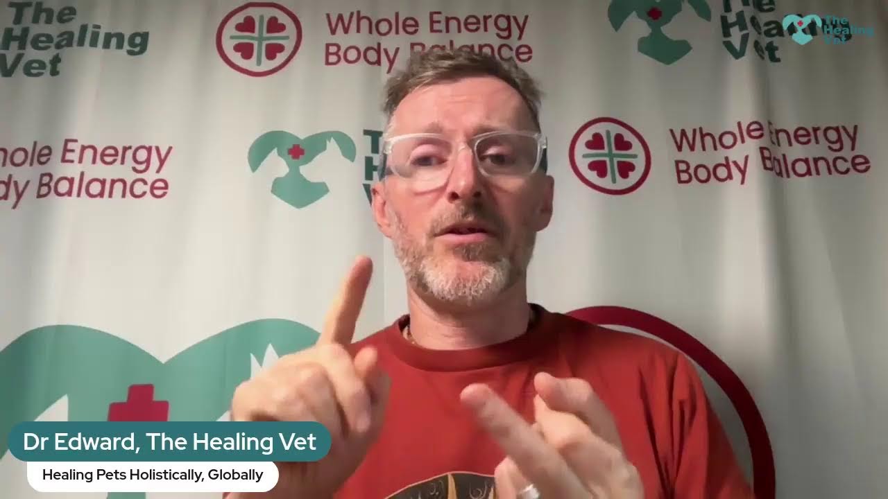 Anxiety in Dogs - Holistic Treatment