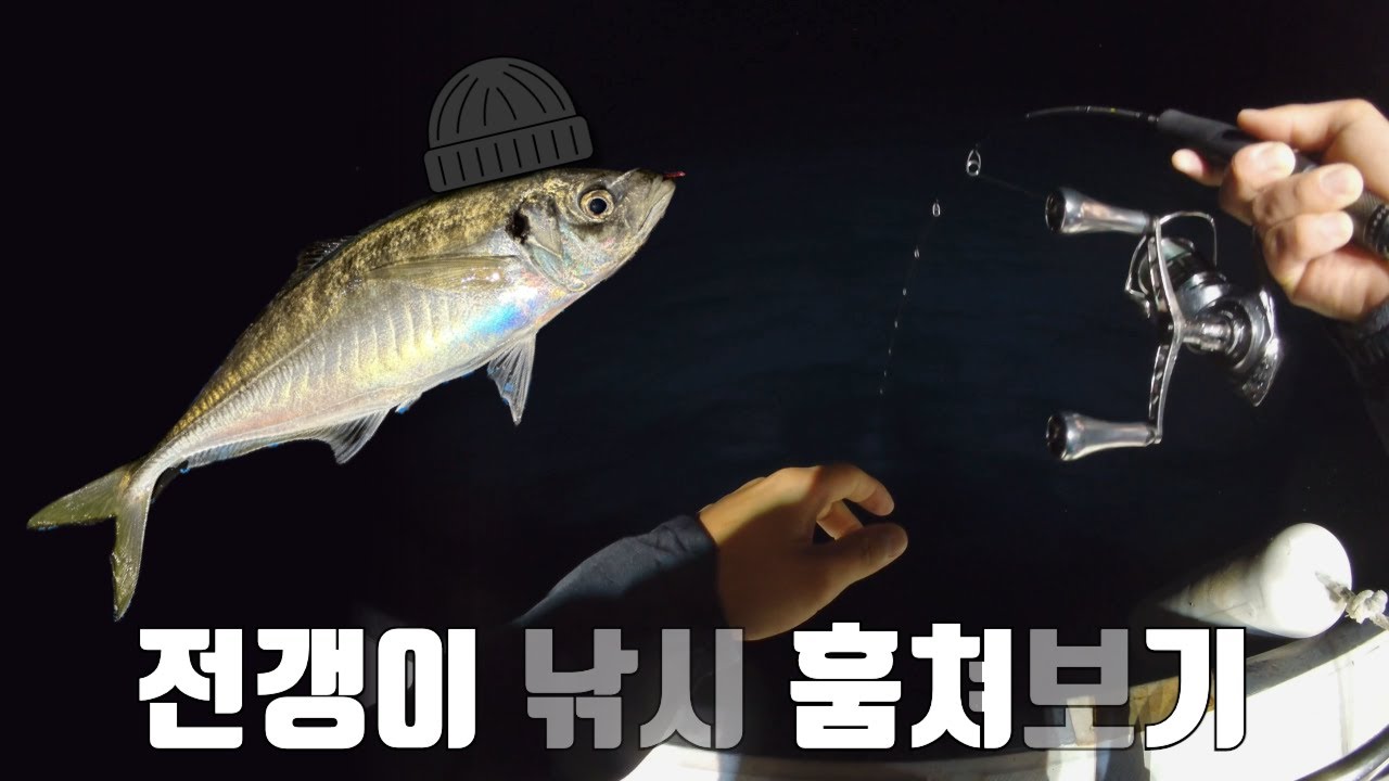 제주 아랴지 액션법 훔쳐보기