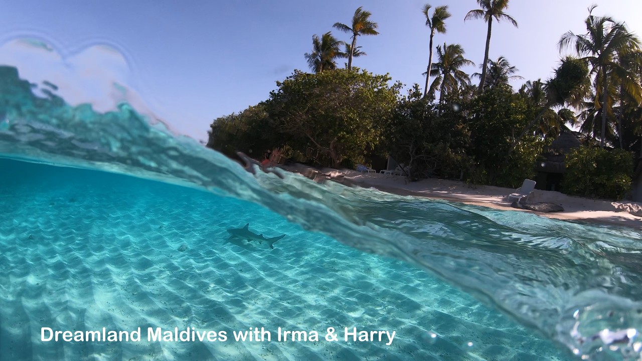 Dreamland Maldives January / February 2026