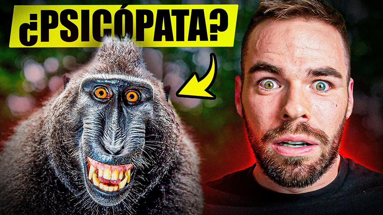 🔴Animales Psicópatas según la ciencia🔴