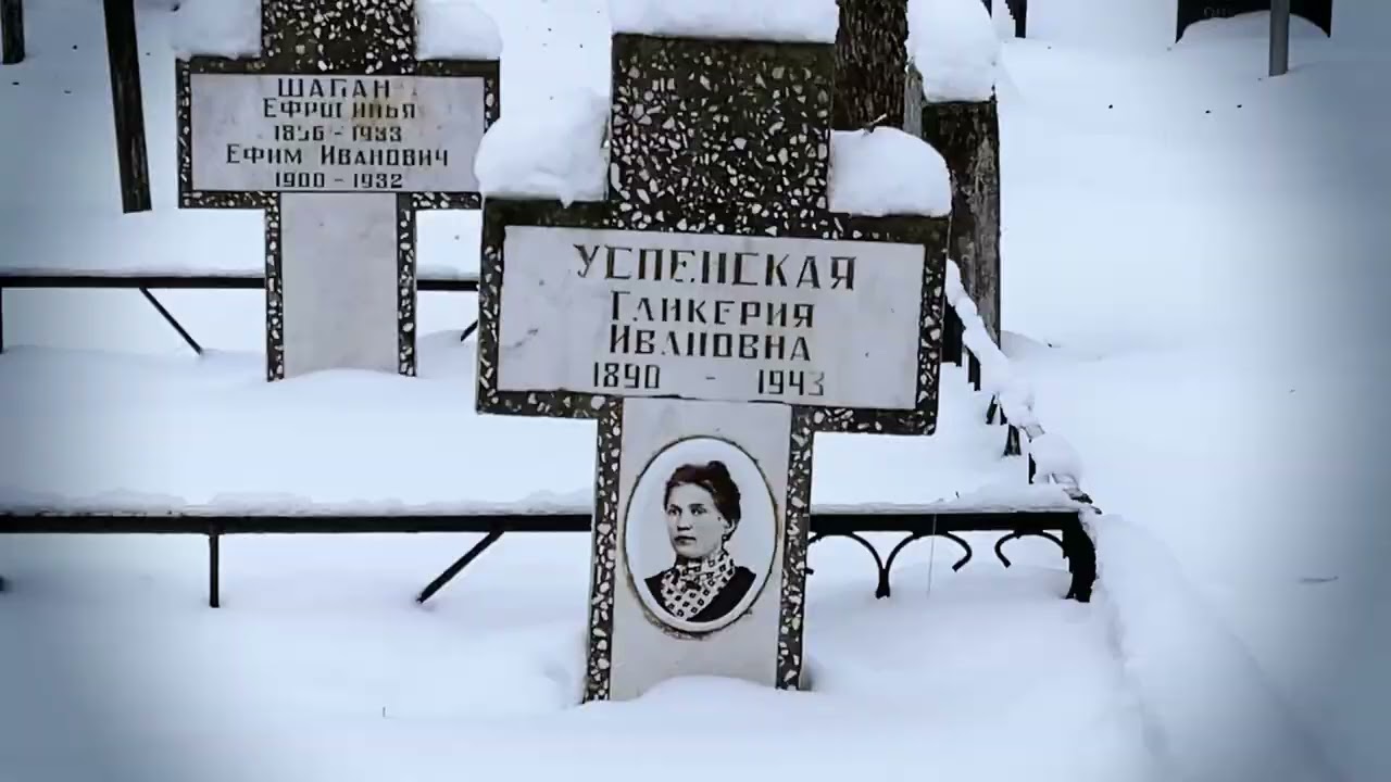 Вороны, зима, Минск