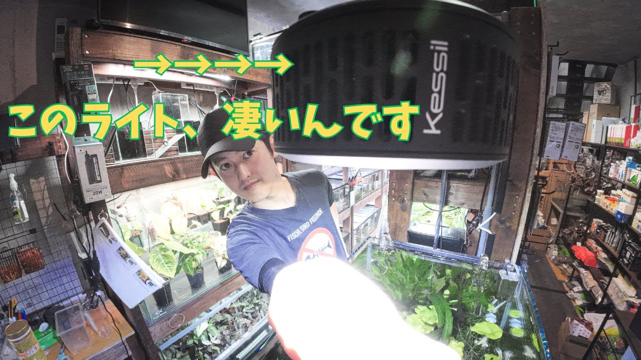 【史上最強のLEDライト！？】アジがこよなく愛するこのLEDライト‥‥マジで凄い‥‥