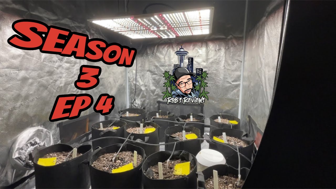 SPIDER FARMER SF4000 & 4x4 UPDATE